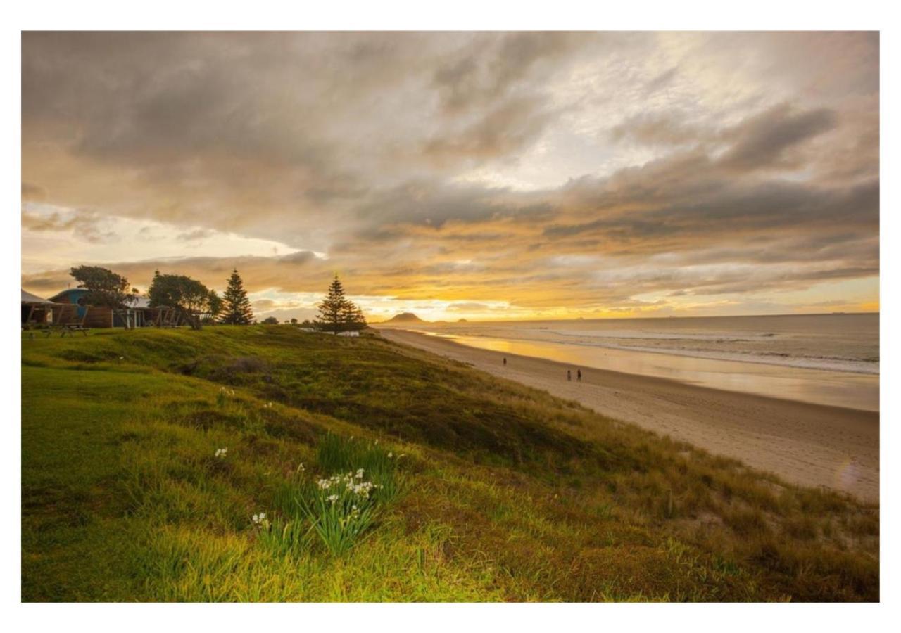 Cabbage Tree - Summer Or Winter Beachfront Haven Papamoa Exterior photo
